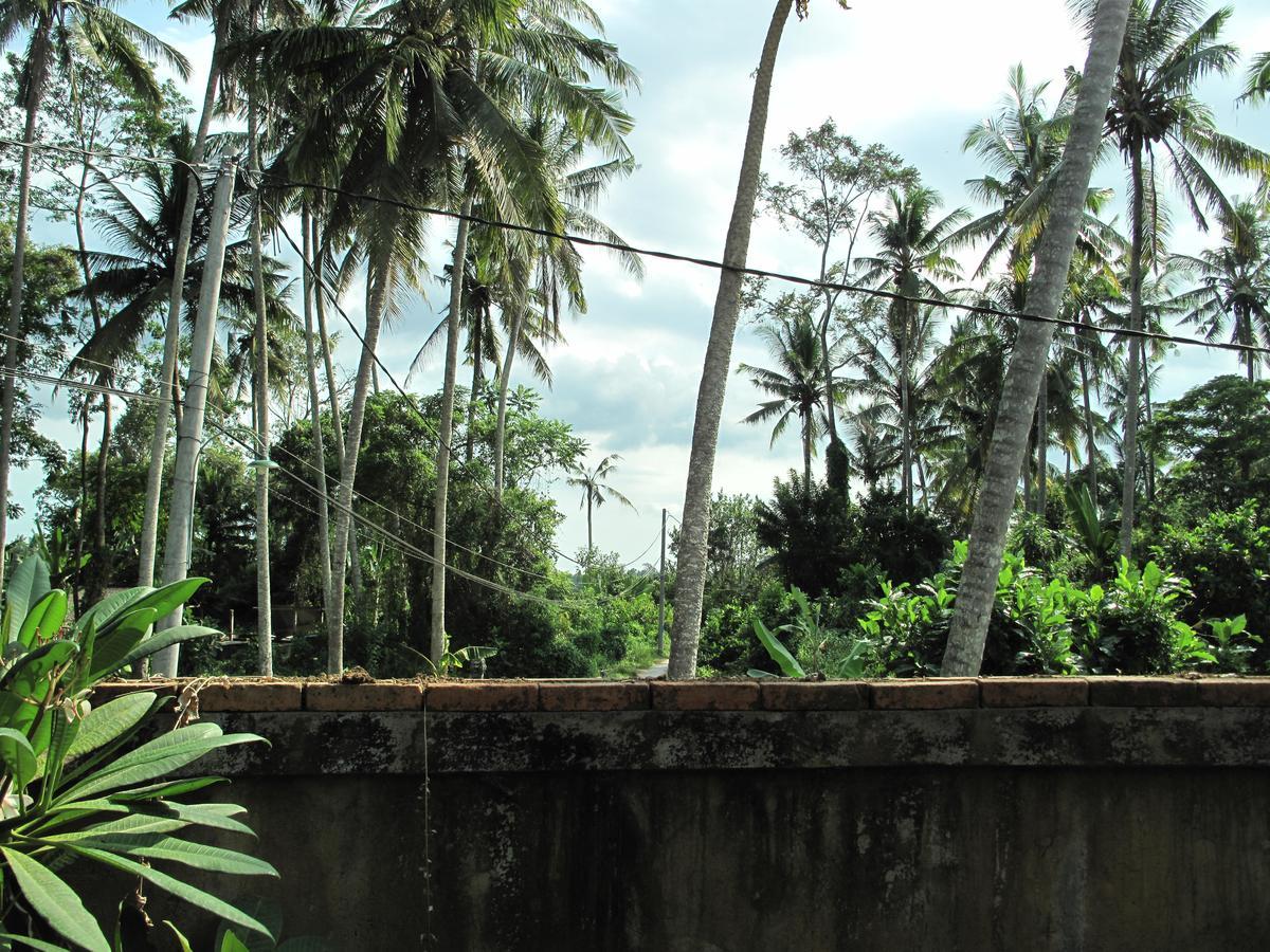فندق Sunrise Coconut House أوبود المظهر الخارجي الصورة